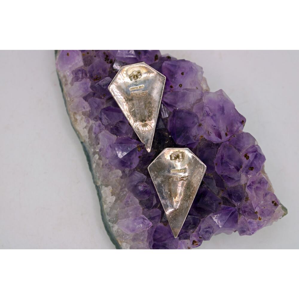 Ray Tracey Knifewing Navajo Sterling Silver Inlay Earrings - Picture 5 of 9